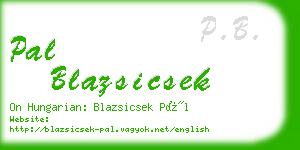 pal blazsicsek business card